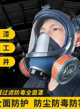 全高防防毒面具头戴式工业化雾毒气防尘业硅胶1011工专过滤玛面罩
