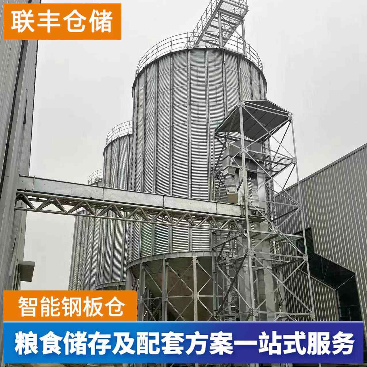 新品粮食钢板仓热镀锌储存稻谷2000吨立筒仓储备粮库散粮储存仓
