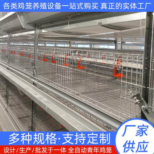 全自动大层叠青年鸡笼大型养殖场家用多层一体式鸡鸭苗养殖雏鸡笼