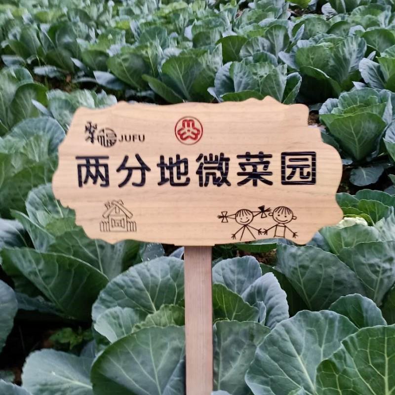 指示导向牌立牌学校提示牌防腐木园林草地标语牌指路实木插地牌