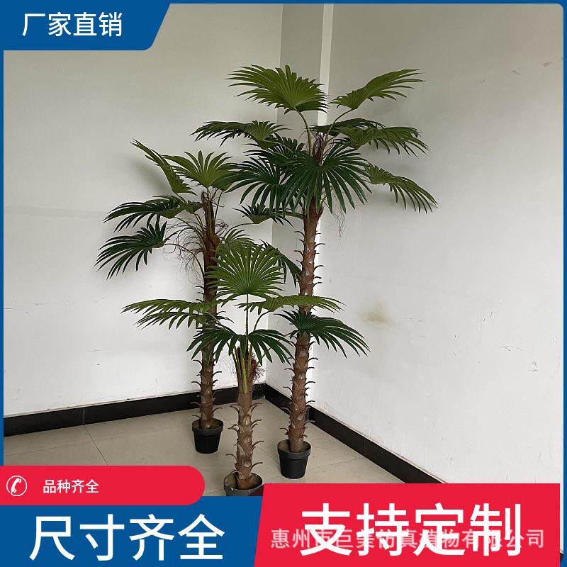 仿真扇葵树仿真棕榈树假椰子树室内热带雨林风蒲葵