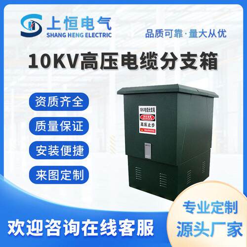10KV-35KVDFW-12欧式电缆分支箱一进两出冷轧板外壳压电缆分支