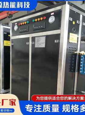 电加热蒸汽发生器服装熨烫蒸汽锅炉工业大型1吨2吨电蒸汽发生器