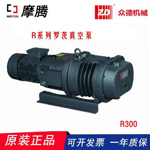 R-系列R300罗茨真空泵