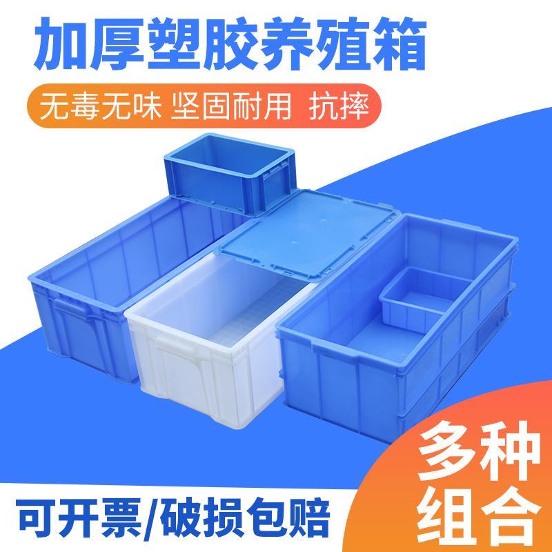 胶养殖箱9wor长方形过滤灰色加厚箱箱循环鱼缸周转乌龟箱组合