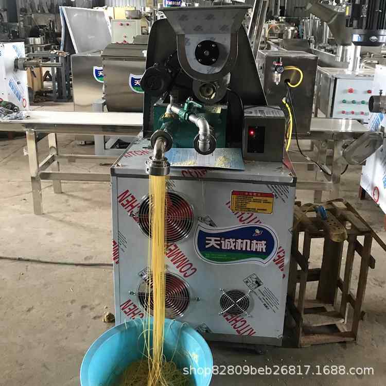 家用杂粮面机 727自动下条玉料米航面条机天制造设备