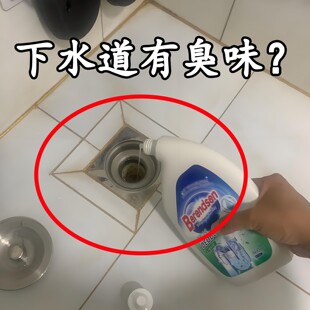 地漏防臭器硅胶垫厕所防反味除臭过滤防堵卫生间下水道防备莱盘