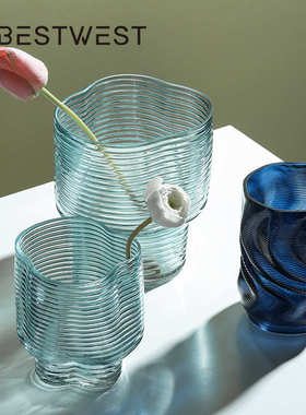 博西家居 北欧轻奢水果盘透明玻璃花瓶摆件 创意家居客厅水培花器