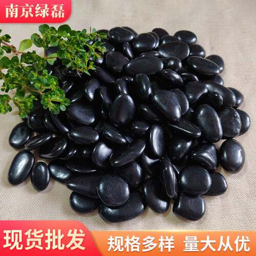 黑鹅卵石抛工造程铺路园林景观光雨花石鱼缸景垫底502色小石头