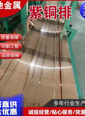 现货供应T2紫铜排红铜排 TMY电力导电铜母线排汇流排接地紫铜排