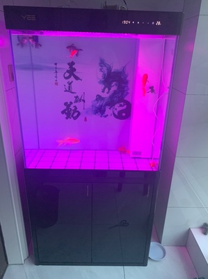 谁用过YEE大型鱼缸水族箱怎么样?坑不坑人曝光?