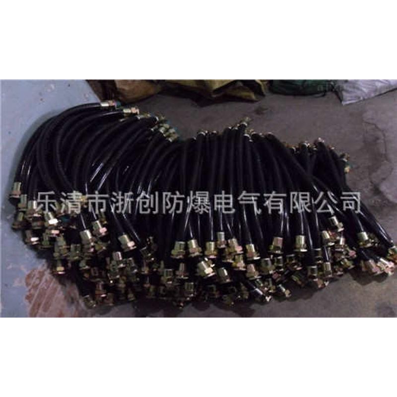 中石油监控摄像头防爆挠性连接管    防爆接线箱 防爆控制箱 浙创