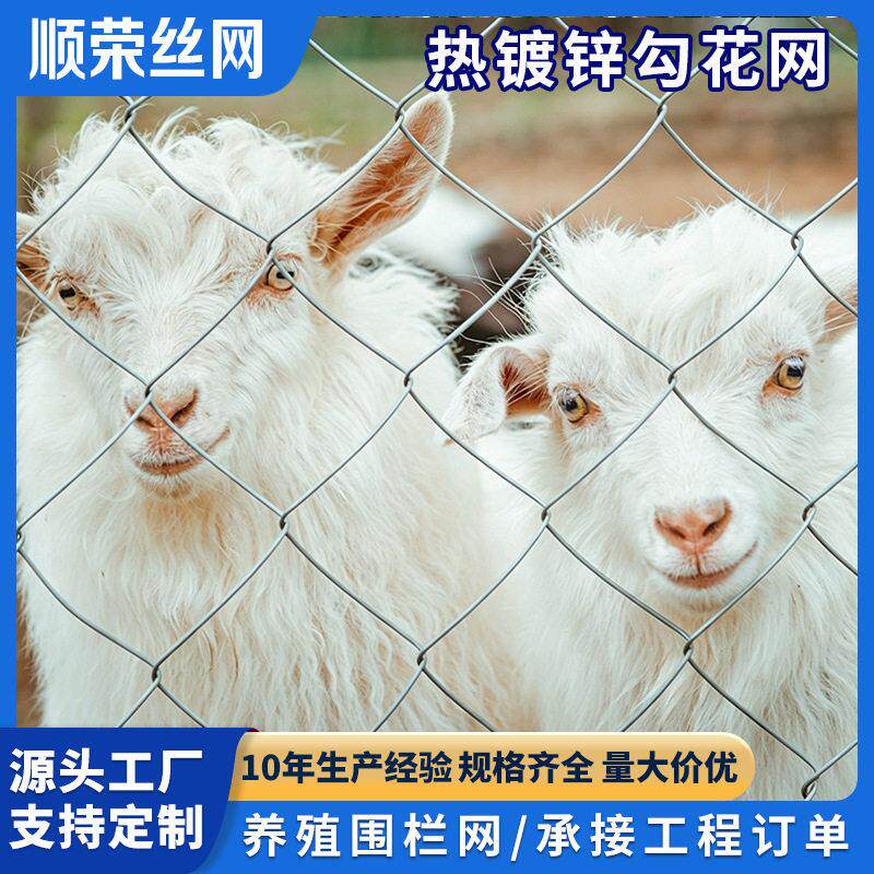 鱼塘隔离养殖网包塑铁丝网防护方格斜方勾花锚卷网勾花网
