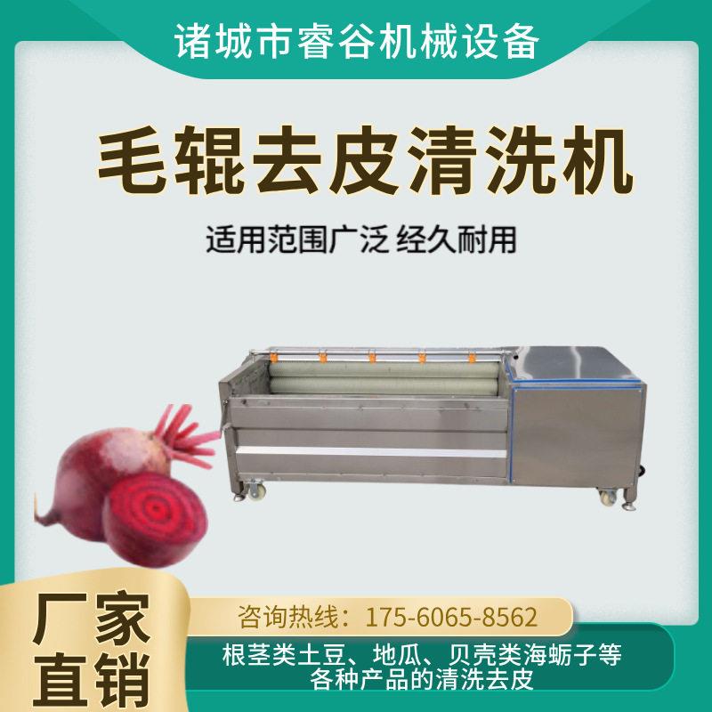 全自动毛辊清洗机紫菜头红菜头滚筒甜菜头甜根菜清洗去皮机神器