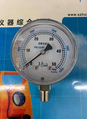 hsum牌隔膜压力表 YE60 膜盒压力表 螺纹PT1/4 表盘60MM