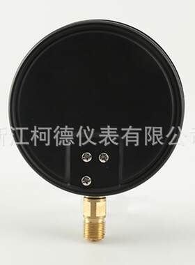 柯德仪表 YE-150型膜盒压力表