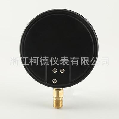 柯德仪表 YE-150型膜盒压力表