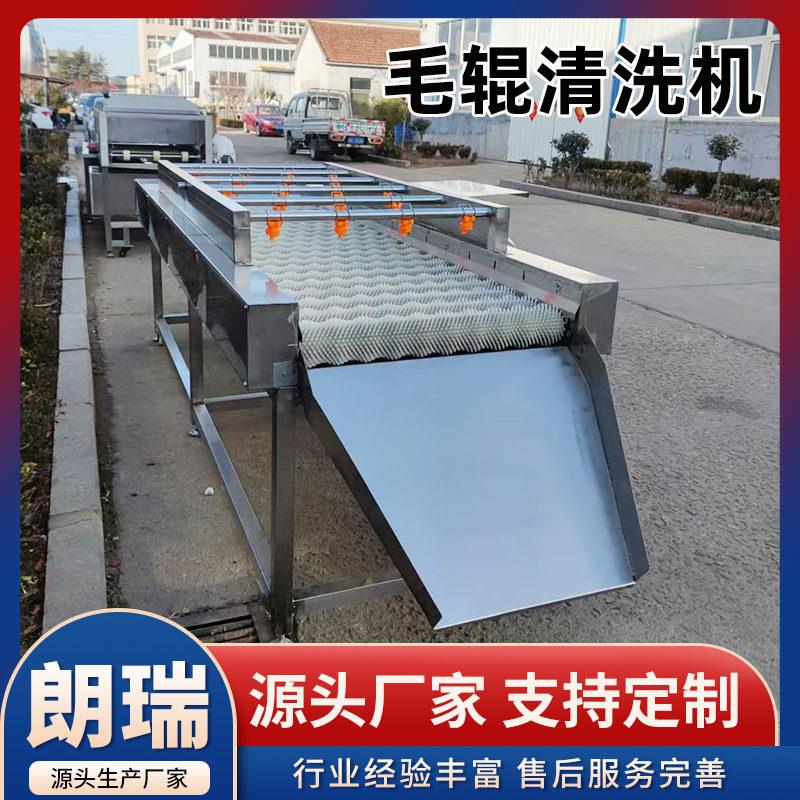 海蛎子毛辊清洗机香芋地瓜毛滚清洗设备猪头去毛毛刷清洗机器