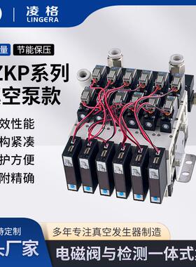 LZKP-K5-S-BCA-06-J-06大流量真空泵集成吸破一体电磁阀组真空件
