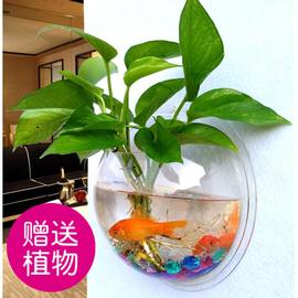 吊篮花盆亚克力墙壁水培绿萝花盆瓶壁挂鱼缸墙面装饰品餐厅客厅背