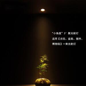 一束光聚光射灯嵌入式小角度3度5°光束角天花灯重点局部照明开关