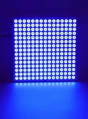 全蓝光 45W美黑灯225灯 古铜色晒肤日光浴 晒黑灯 LED Tanning la