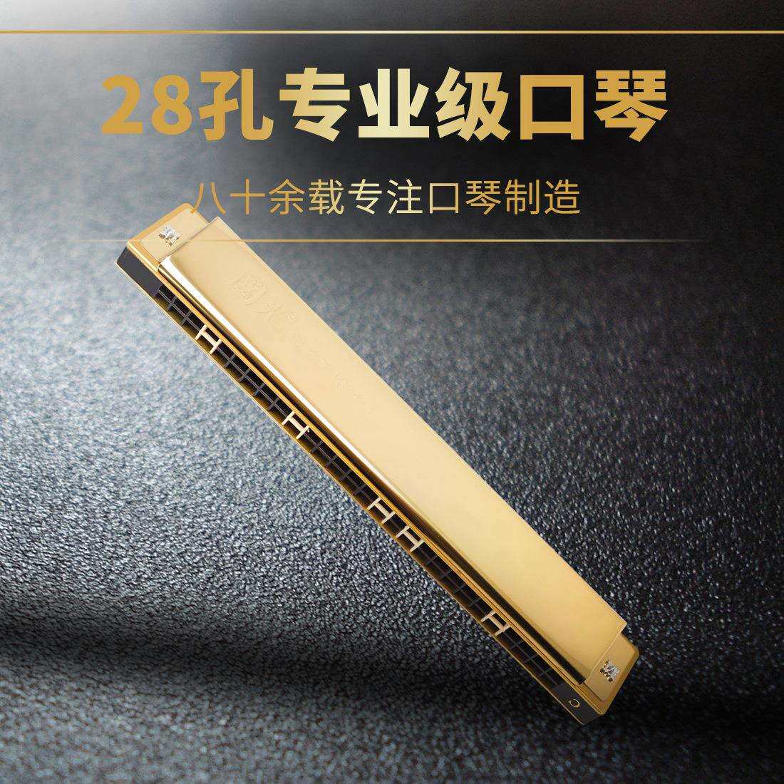 孔宽音域复音调口琴初学者成人入门练习演奏入门口琴乐器