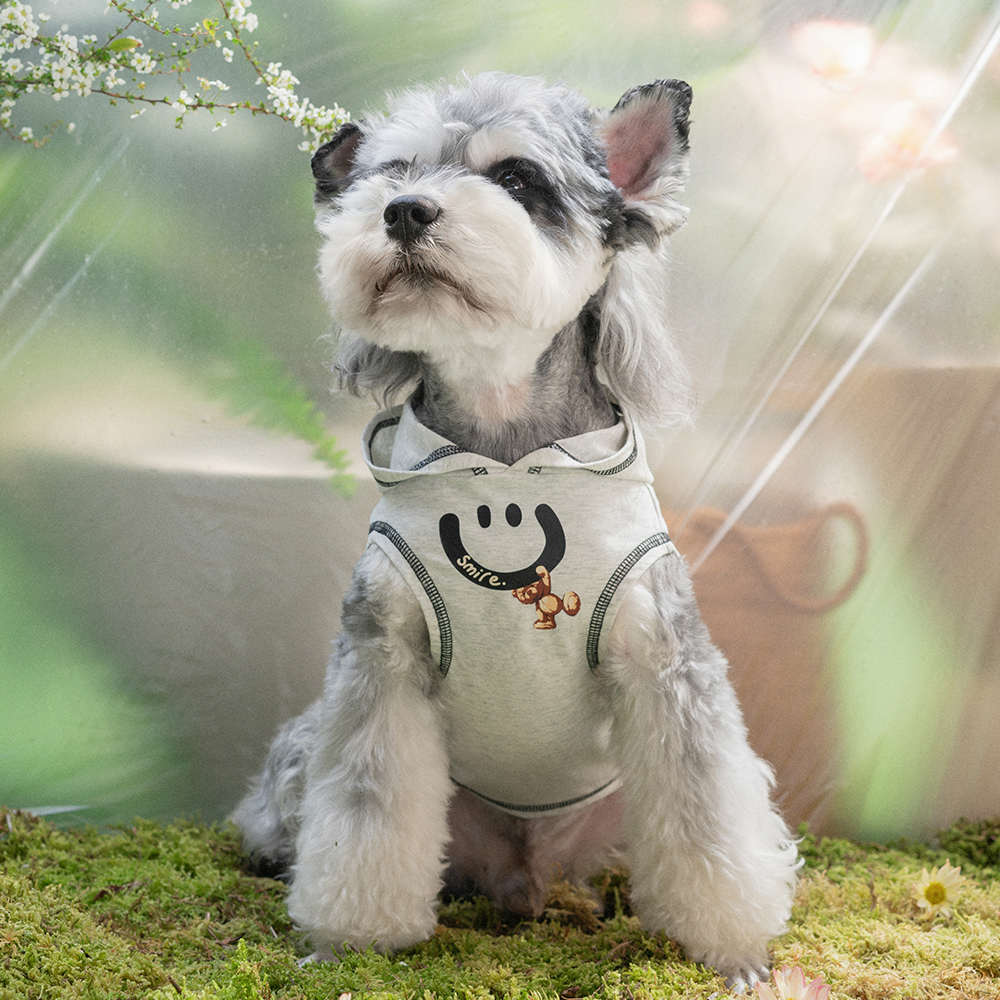 个性狗狗衣服宠物背心连帽衫夏季薄款防晒小型犬猫咪雪纳瑞衣服潮