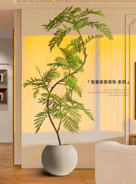 模拟绿色植物蓝花楹室内盆栽大型彷生植物假树可达豪华客厅装饰地