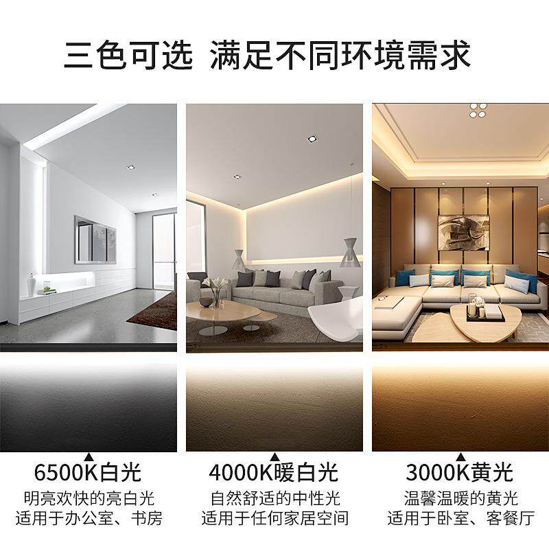 高色温光效灯管led10000-12000流氓t8t5分体一体化感应雷达微波