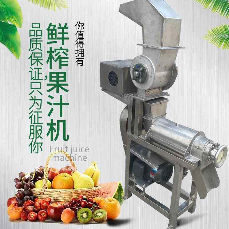 青料桔榨汁机 果蔬汁饮破设备 ELH吨1碎打汁机