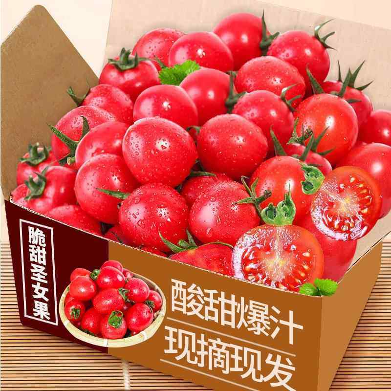 新鲜圣女果当季现摘番茄樱桃小西红柿酸甜千禧小番茄生吃水果包邮,水产肉类/新鲜蔬果/熟食,脱水蔬菜,淘宝优惠券,粉丝福利购,淘宝优惠卷