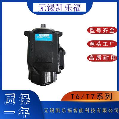 双联伺服油泵T7BBS-E08-E07-1R01-A1M0注塑机油泵双联叶片泵