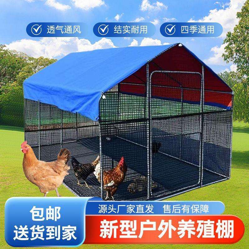 户外养殖鸡棚鸡笼鸽笼家禽雨棚大型室外防雨鸡舍鸽舍搭建家用养鸡