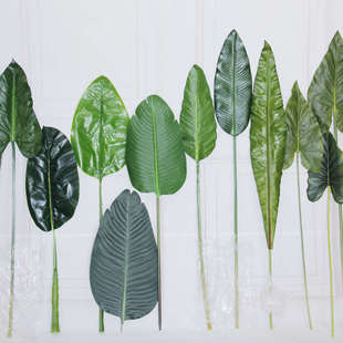 INS仿真单支大龟背叶子假树叶插花绿植芭蕉叶散尾葵叶片装饰婚庆