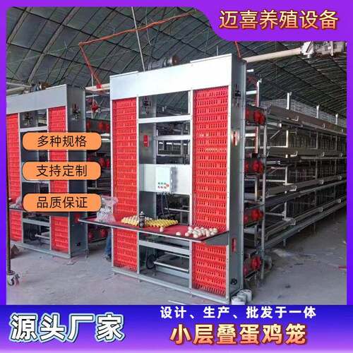 小层叠全自动化蛋鸡笼全自动养殖自动捡蛋自动喂料