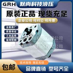 上海国瑞GRH齿轮泵Group1液压泵1PF1.1L01B02 1PF1.3L01B02 油泵