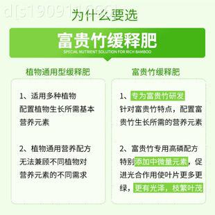 德音沃多富用贵竹专用缓释肥盆栽花通用型观竹家植物富贵竹缓花卉