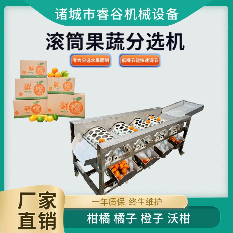 滚筒柑橘分拣机水果分选机选果分级机筛选机橙子百香果沃柑分果机