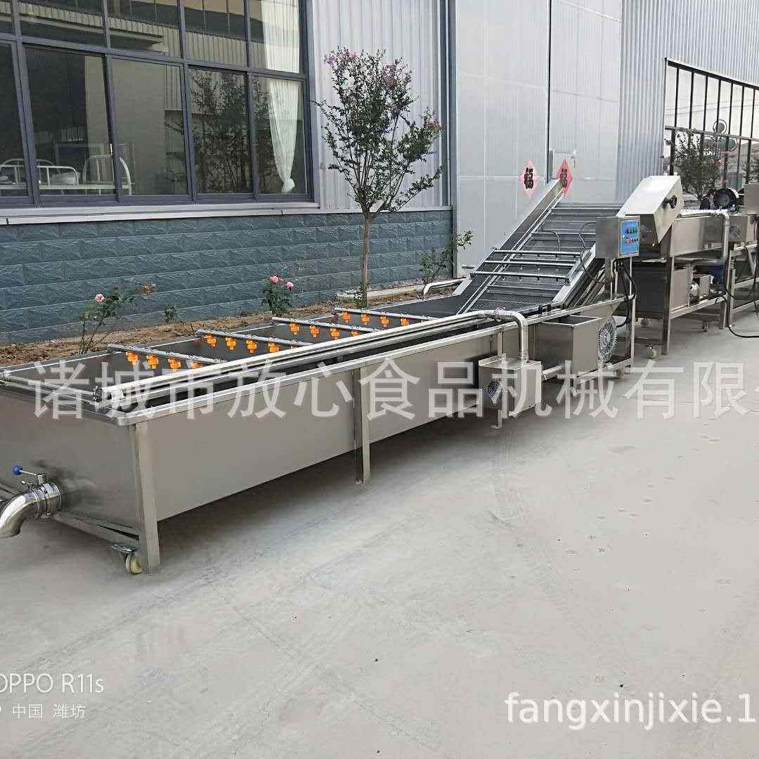 全动大直枣清洗机气泡清洗机 红枣草莓自苹果 多功能SNB果蔬清洗