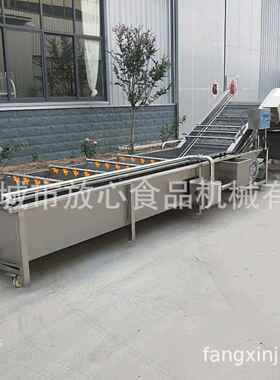 全动大直枣清洗机气泡清洗机 红枣草莓自苹果 多功能SNB果蔬清洗