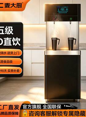 麦大厨直饮机商用净水餐边柜全自动酒店工厂学校公司商务净水设备