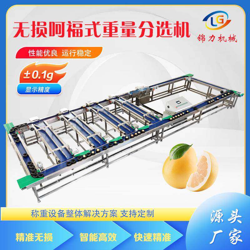 柚子无损选果机水果称重呵福式分选机苹果重量分拣设备