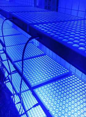 全蓝光45W美黑灯225灯 LED Tanning lamp古铜色晒肤日光浴晒黑灯