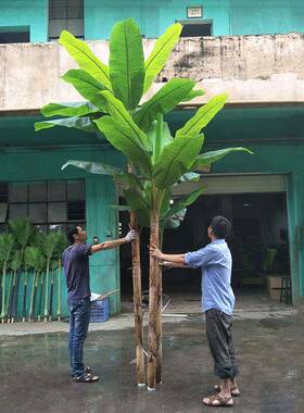 按要求制CF0021作仿真芭蕉树胶过手叶质感办公室场商装饰假绿植盆