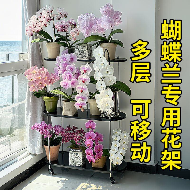 蝴蝶兰花架2025新款客厅阳台专用置物架落地式可移动多层中古风图片