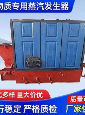 养殖供热燃烧生物质蒸汽发生器建筑桥梁养护蒸汽锅炉烘干酿酒