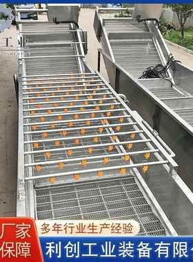 瓜果蔬菜气泡清洗机马铃薯苹果清洗机全自动果蔬气泡清洗机设备