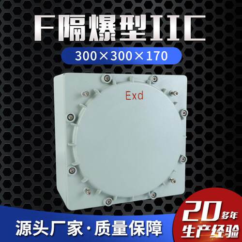 隔爆型ⅡC 300×300×170防爆接线箱 防爆配电箱 防爆控制箱防尘