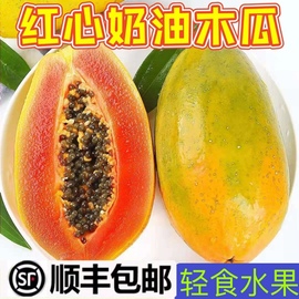 红心牛奶水果木瓜即食代餐9斤 当季新鲜非海南冰糖心青木瓜自然熟